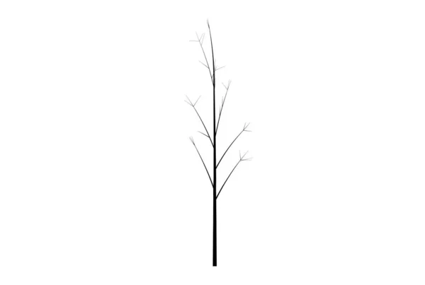 Träd Silhuett Botaniska Konstverk Säsongsbetonat Trä Form Konst — Stockfoto