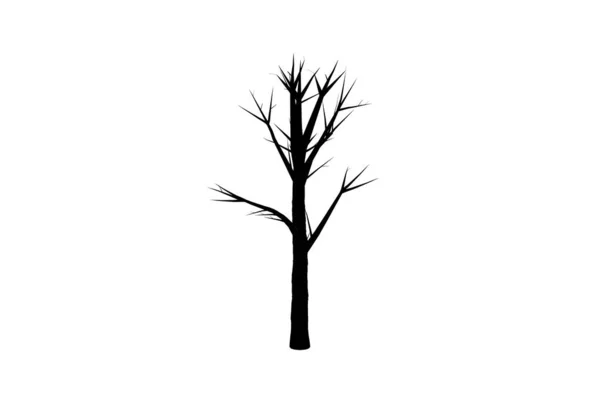 Drzewo Sylwetka Botaniczne Dzieła Sztuki Sezonowe Drewno Kształt Sztuki — Zdjęcie stockowe