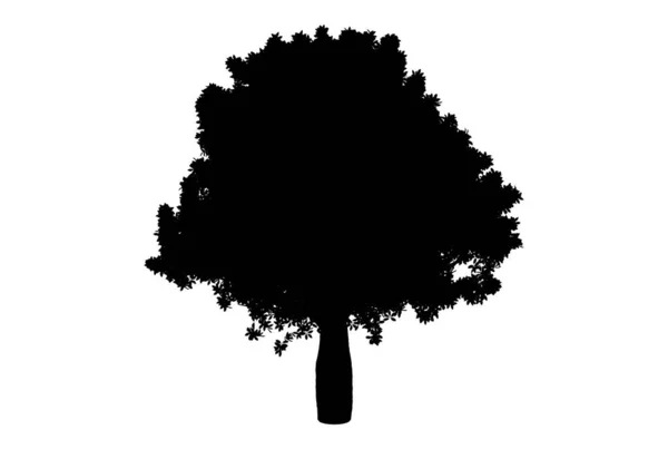 木のシルエット植物画 季節の木の形アート — ストック写真