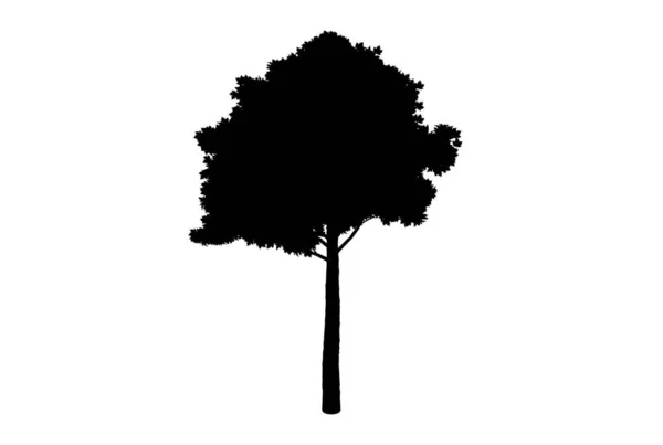 Τέχνη Εποχιακό Σχήμα Ξύλου Δέντρο Σιλουέτα Βοτανικό Έργο Τέχνης — Φωτογραφία Αρχείου