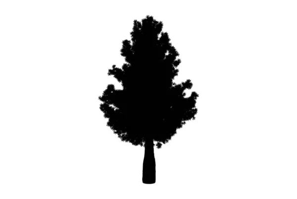 Drzewo Sylwetka Botaniczne Dzieła Sztuki Sezonowe Drewno Kształt Sztuki — Zdjęcie stockowe