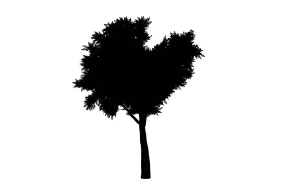 Botanic Tree Silhouette Artwork Biology Wood Shape Design — Stock Photo, Image