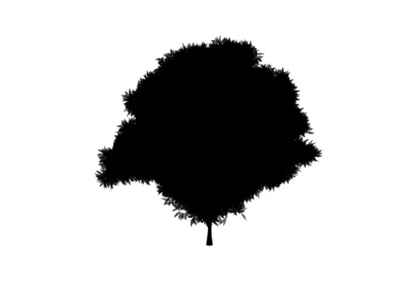 Ботанический Силуэт Дерева Биология Дизайна Формы Дерева — стоковое фото