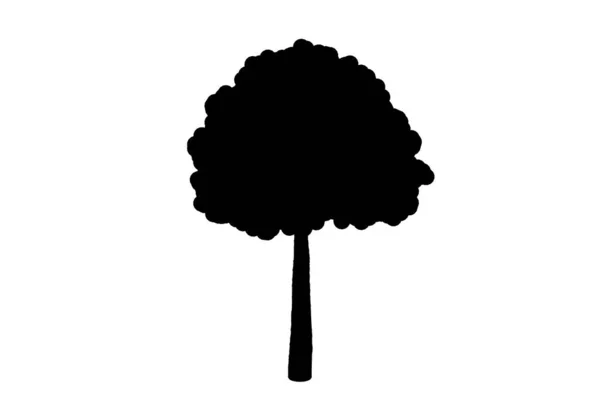 Sílhueta Árvore Arte Botânica Arte Forma Madeira Sazonal — Fotografia de Stock