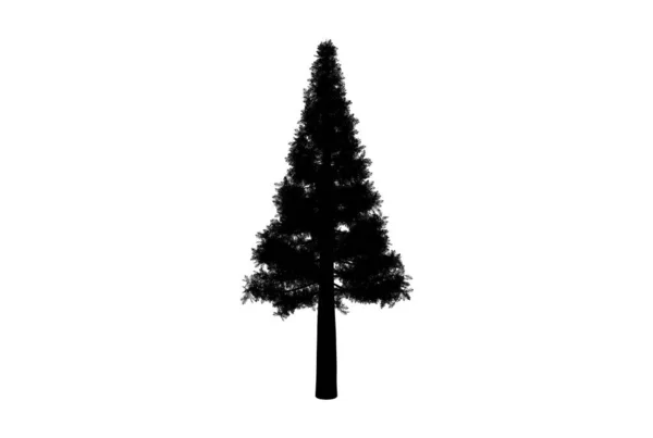 Τέχνη Εποχιακό Σχήμα Ξύλου Δέντρο Σιλουέτα Βοτανικό Έργο Τέχνης — Φωτογραφία Αρχείου