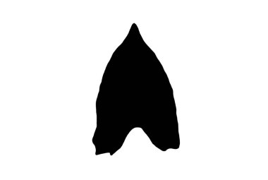 Yaprak silueti siyah bahar tasarım elementi botanik doğa çizim sanatı