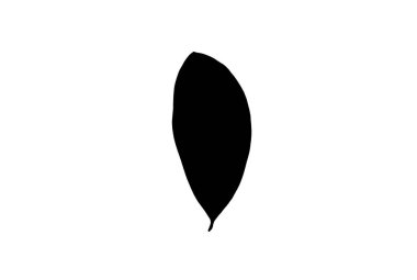 Yaprak silueti siyah bahar tasarım elementi botanik doğa çizim sanatı