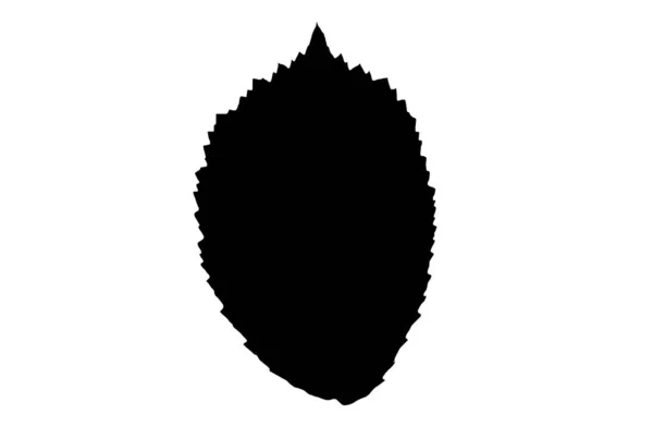Liść Sylwetka Czarny Wiosna Design Element Botaniczny Natura Ilustracja Sztuka — Zdjęcie stockowe