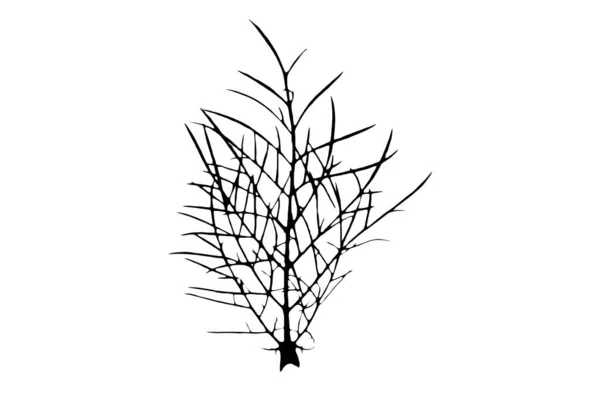 葉のシルエット黒春のデザイン要素植物の自然イラストアート — ストック写真