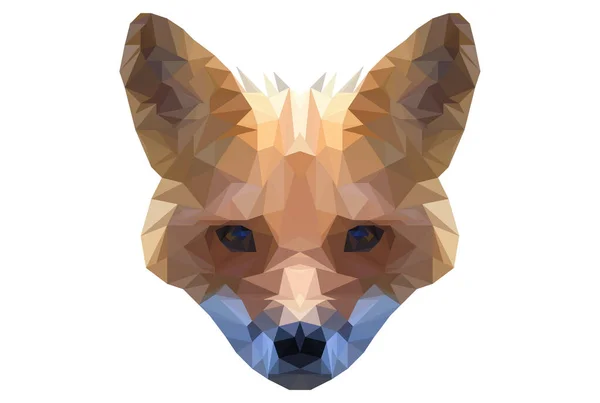 狐狸多边形艺术几何三角形动物野生动物特征 — 图库照片