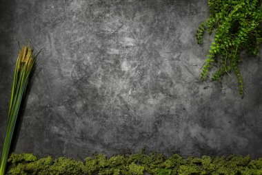 Yeşil bitkiler siyah arkaplan doğal fon kavramı yosun zemin