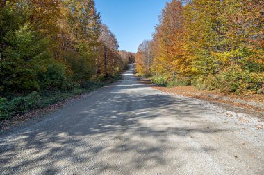 Ulugol (Golkoy) Doğa Parkı, Ordu, Türkiye 'den güzel sonbahar manzaraları