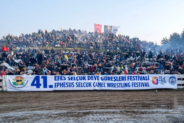 Turkey,Izmir ; 2023 January 15 ;41th Ephesus Selcuk Camel Wrestling Festival