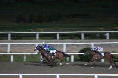 Turkey,Istanbul;2018 December 5 ;Racehorses with jockeys during a horse race