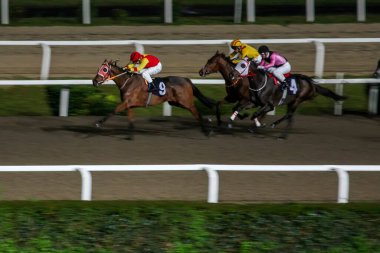 Turkey,Istanbul;2018 December 5 ;Racehorses with jockeys during a horse race
