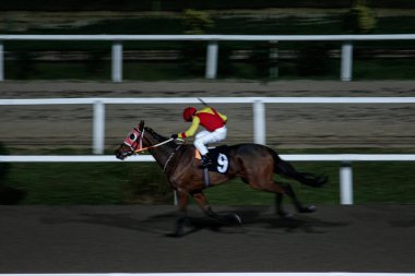 Turkey,Istanbul;2018 December 5 ;Racehorses with jockeys during a horse race