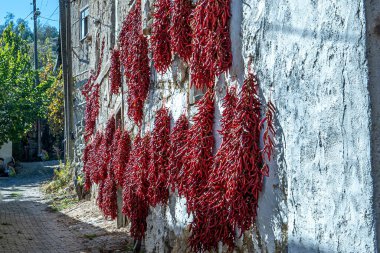 Güneş ışığında kırmızı biber çelenkleri. Kırmızı biberler kuruması için evin tavanına asıldı..
