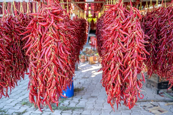 Bloemenslingers Van Paprika Het Zonlicht Rode Paprika Werden Aan Het — Stockfoto
