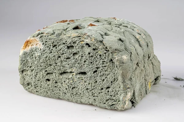 Küflü Bir Ekmek Israfı Resmi Çürümüş Yenilemez Bayat Ekmeğin Üzerindeki — Stok fotoğraf