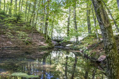 Yedigoller Ulusal Parkı 'nda sonbahar sezonu. Bolu, İstanbul, Türkiye.