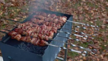Izgara et. Izgarada barbekü hazır. Izgara domuz eti. Sonbahar sonu, açık hava pikniği. Yüksek kalite 4k görüntü