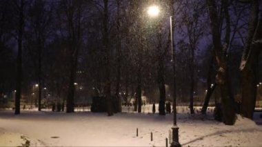 Kışın geceleri şehir sokağında modern sokak lambasıyla kar yağıyor. Parktaki parlak ışıkla aydınlatılmış kar taneleri. Kar yağışı, kar fırtınası ve güçlü rüzgâr. Yüksek kalite 4k görüntü