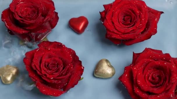 Red Roses Water Hearts Drops Water Fall Blue Background Valentines — Stock video