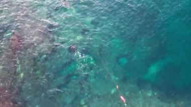 Scuba diving in the blue sea. Divers underwater. Drone footage. Rocky beach. High quality FullHD footage