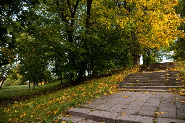 Sarı ve yeşil yapraklı ağaçlarla çevrili bir parkta düşen sonbahar yapraklarıyla kaplı taş merdivenler. Sonbahar sezonu ve doğa konsepti. Yüksek kalite fotoğraf