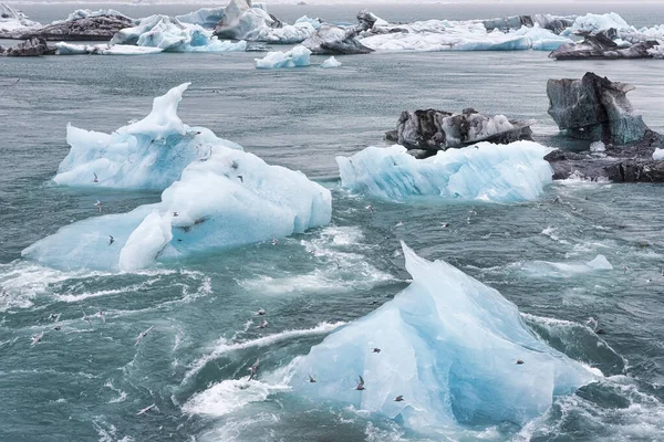 Jkulsrln Deki Buzdağları Büyük Bir Buzul Gölü — Stok fotoğraf