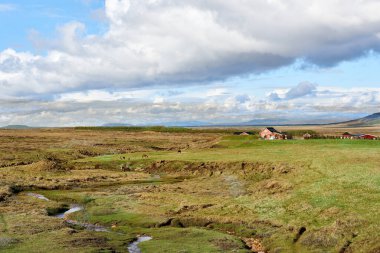 İzlanda 'nın güneyindeki yeşil çayırda bir çiftlik, Altın Daire rotası, İzlanda. Avrupa