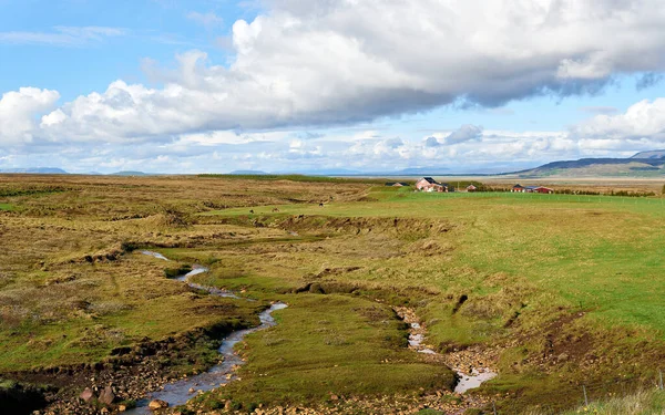 Farm Zöld Mezőn Dél Izlandon Golden Circle Útvonal Izland Európa — Stock Fotó