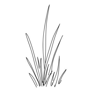 Plant grass forest icon outline, hand drawn vector. Garden drawing. Botanical oak