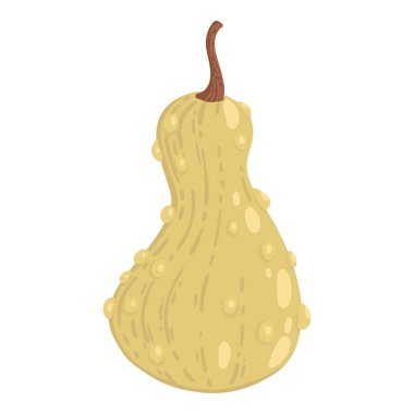 Colored pumpkin hand drawn vector graphic illustration. Colorful drawing autumn vegetable whole, slice and halves isolated on white background. Seasonal fresh plant bundle.