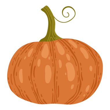 Colored pumpkin hand drawn vector graphic illustration. Colorful drawing autumn vegetable whole, slice and halves isolated on white background. Seasonal fresh plant bundle.