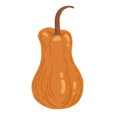 Colored pumpkin hand drawn vector graphic illustration. Colorful drawing autumn vegetable whole, slice and halves isolated on white background. Seasonal fresh plant bundle.