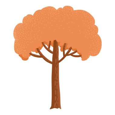 Deciduous and evergreen forest plant isolated on white background. Botanical bare tree and ones with leaves and lush crowns. Flat vector illustration on white background.