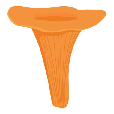 Asian Shiitake mushroom or fungi. Raw forest edible fungus composition. Natural organic vegetarian food. Colored hand-drawn vector illustration of lentinula edodes isolated on white background.