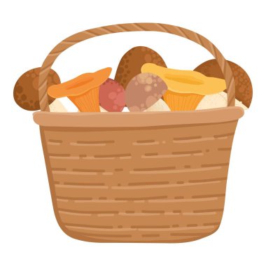 Asian Shiitake mushroom or fungi. Raw forest edible fungus composition. Natural organic vegetarian food. Colored hand-drawn vector illustration of lentinula edodes isolated on white background.