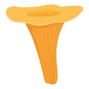 Asian Shiitake mushroom or fungi. Raw forest edible fungus composition. Natural organic vegetarian food. Colored hand-drawn vector illustration of lentinula edodes isolated on white background.