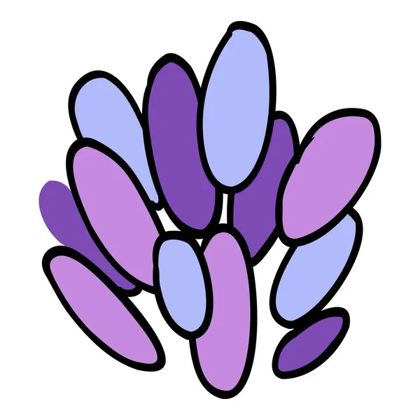 Kwiat Lawendy Prowansja Kwiatowy Zioło Purpurowy Kwiat Rysunek Botaniczny Francuskiego — Wektor stockowy