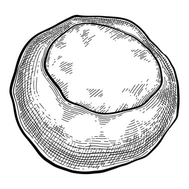 Fındık, sert kabuklu fibertler. Dağınık hindistan cevizi kompozisyonu. Taze çiğ fındık. Sağlıklı olgun meyveler. Düz vektör çizimi beyaz arkaplanda izole edildi.