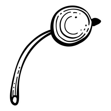 Fındık, sert kabuklu fibertler. Dağınık hindistan cevizi kompozisyonu. Taze çiğ fındık. Sağlıklı olgun meyveler. Düz vektör çizimi beyaz arkaplanda izole edildi.