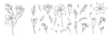 Lüks çiçekler ve logo seti. Son moda botanik elementler. El çizimi dallar ve çiçek açar. Davetiye için zarif kır çiçekleri. Randevu kartını sakla. Beyaz üzerine vektör illüstrasyonu