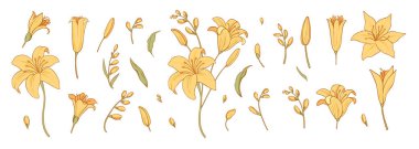 Rengarenk çiçek ve logo seti. Son moda botanik elementler. El çizimi dallar ve çiçek açar. Davetiye için zarif kır çiçekleri. Randevu kartını sakla. Vektör altın