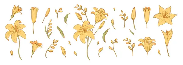 Set Luxury Colorful Flowers Logo Trendy Botanical Elements Hand Drawn — Stock Vector