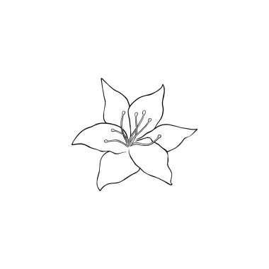 Lüks çiçek ve logo. Son moda botanik öğesi. El çizimi çizgi ayrık dal ve çiçek. Davetiye için zarif kır çiçeği. Randevu kartını sakla. Beyaz arkaplanda vektör illüstrasyonu