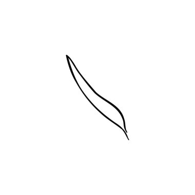 Lüks çiçek ve logo. Son moda botanik öğesi. El çizimi çizgi ayrık dal ve çiçek. Davetiye için zarif kır çiçeği. Randevu kartını sakla. Beyaz arkaplanda vektör illüstrasyonu