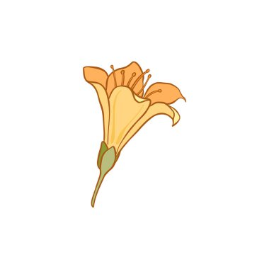 Lüks çiçek ve logo renkli el çizimi. Son moda botanik öğesi. El çizimi çizgi ayrık dal ve çiçek. Davetiye için zarif kır çiçeği. Randevu kartını sakla. Vektör illüstrasyonu