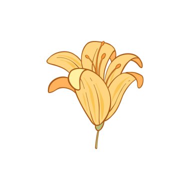 Lüks çiçek ve logo renkli el çizimi. Son moda botanik öğesi. El çizimi çizgi ayrık dal ve çiçek. Davetiye için zarif kır çiçeği. Randevu kartını sakla. Vektör illüstrasyonu